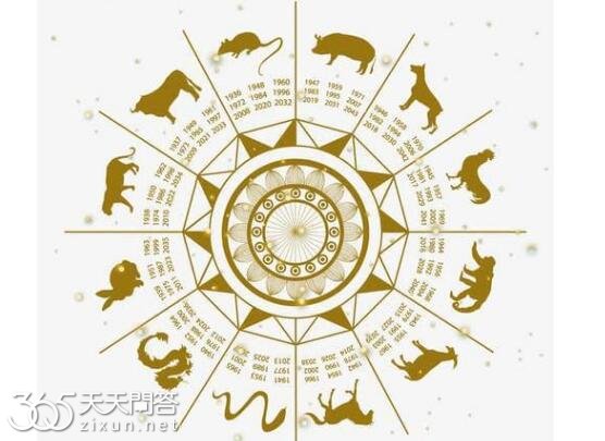 生肖为什么从立春开始算