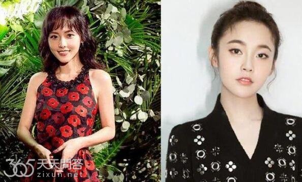 张佳宁和张嘉倪是什么关系