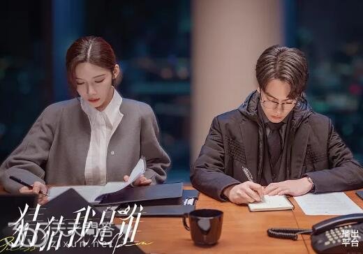 猜猜我是谁宋玲人喜欢谁