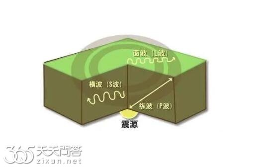 地震是横波还是纵波