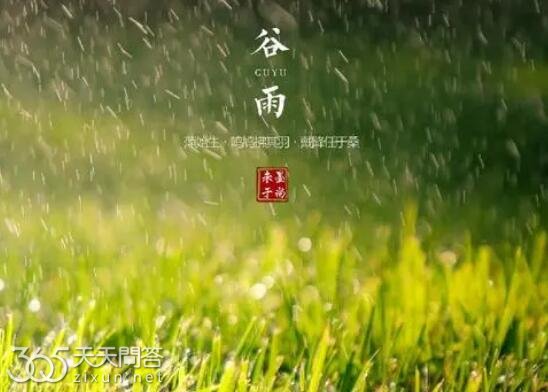 谷雨是不是经常下雨