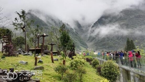 神树坪是碧峰峡吗