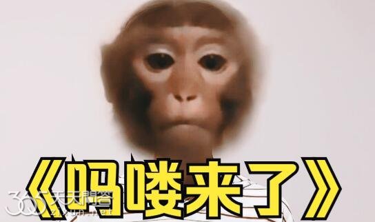 吗喽是什么意思
