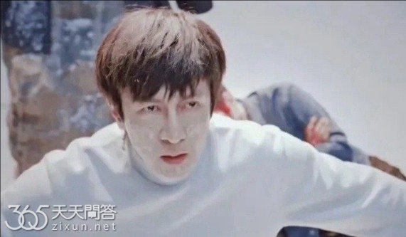 藏海花放野是什么意思