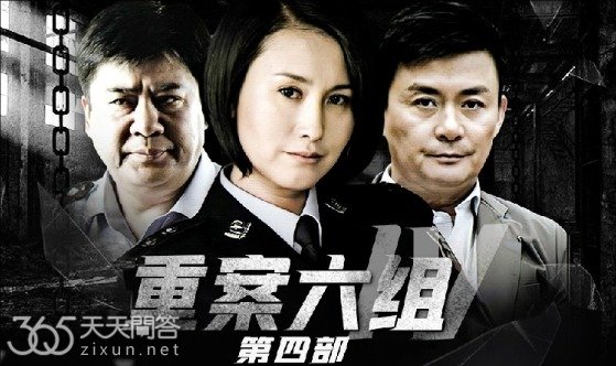 重案六组一共拍了几部