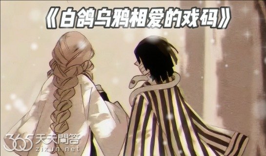 白鸽乌鸦相爱的戏码歌曲什么意思