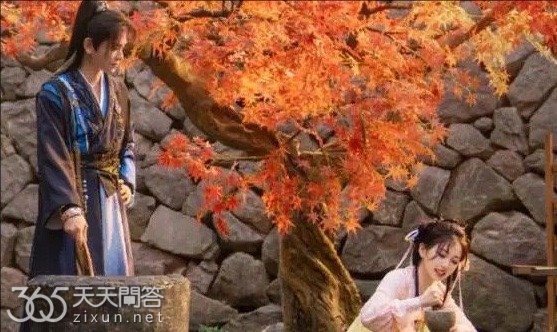 黑莲花攻略手册是谁写的小说