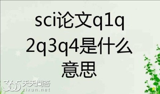 q1q2q3q4是什么意思