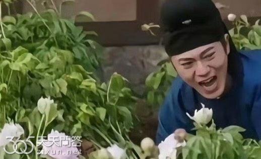国色芳华皇上扮演者叫什么名字