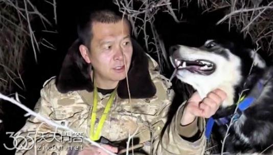 西北刀客里哪个狗丢了自己回来了