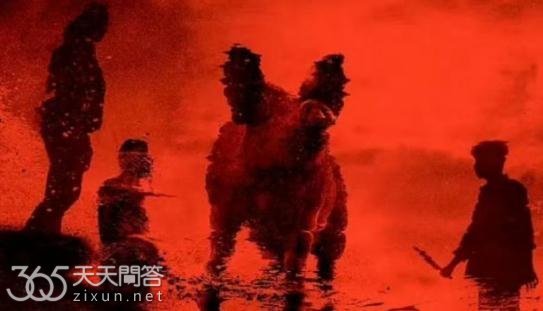 怒水西流什么时候拍的