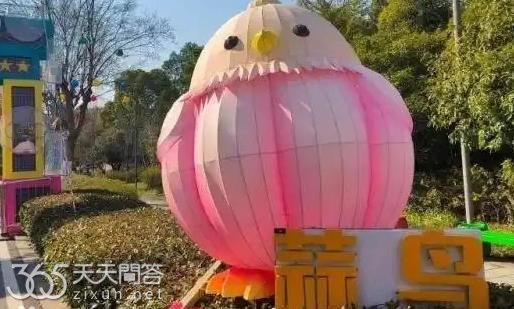 蒜鸟蒜鸟梗由来
